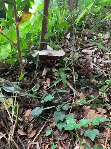 八幡神社（岩窪切岸城址）(福島県)