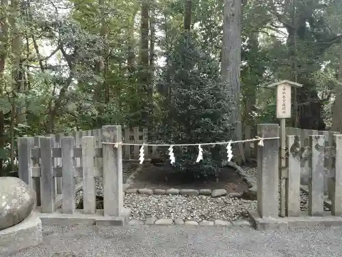 鶴岡八幡宮の{uncategorized: "未分類", other: "その他", undefined: "問題あり", building: "その他建物", grave: "お墓", sacred_gate: "鳥居", guardian: "狛犬", statue: "像", buddha: "仏像", history: "歴史", nature: "自然", garden: "庭園", animal: "動物", pagoda: "塔", temizu: "手水舎", mountain_gate: "山門・神門", sanctuary: "本殿・本堂", subordinate: "末社・摂社", art: "芸術", scenery: "景色", jizo: "地蔵", ema: "絵馬", goshuin: "御朱印", omikuji: "おみくじ", items: "授与品その他", amulet: "お守り", goshuincho: "御朱印帳", eats: "食事", festival: "お祭り", votive_dance: "神楽", shichigosan: "七五三参", wedding: "結婚式", experience: "体験その他", initially: "初詣", around: "周辺", anti_infection: "感染症対策"}