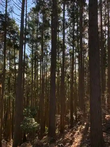 三峰神社の自然