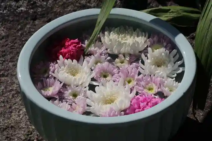 開成山大神宮の手水舎