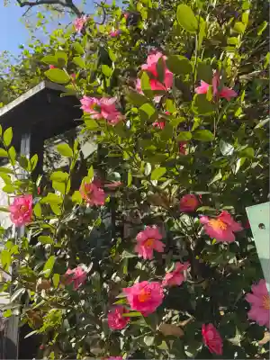 久本神社(神奈川県)
