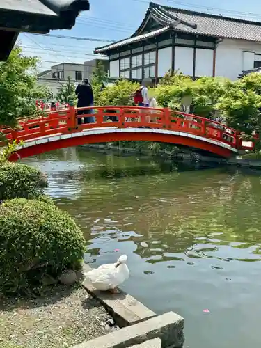 神泉苑(京都府)