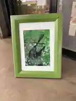 飛木稲荷神社の自然