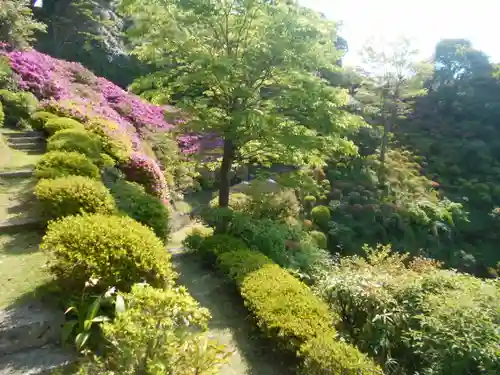 仏行寺（佛行寺）の庭園