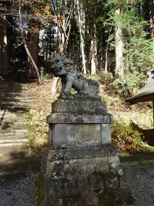 戸隠神社宝光社の狛犬