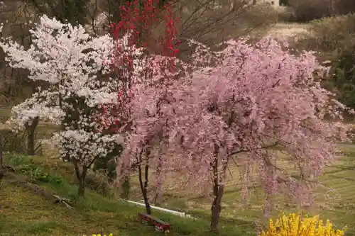 阿久津「田村神社」（郡山市阿久津町）旧社名：伊豆箱根三嶋三社の庭園