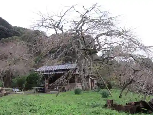 南明寺(山口県)