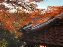 霊鑑寺門跡(京都府)