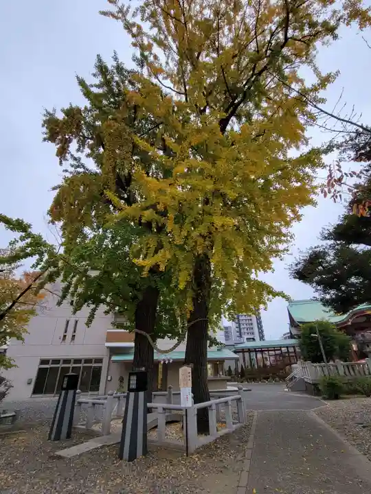 千住神社の自然