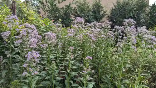 玉田神社(京都府)