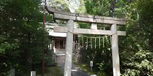 忍　諏訪神社・東照宮　の鳥居