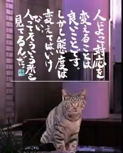 専念寺(大阪府)(2022年06月29日(水) 19時33分37秒投稿)