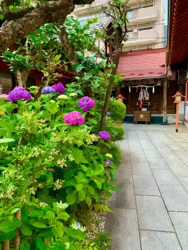 仙台大神宮の自然