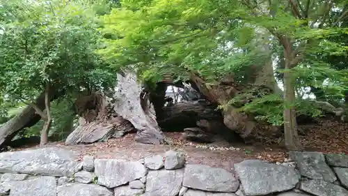 與止日女神社の建物その他