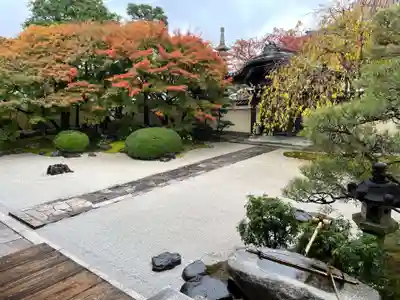 妙顯寺（妙顕寺）(京都府)