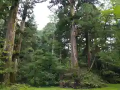 瀧尾神社（日光二荒山神社別宮）の自然