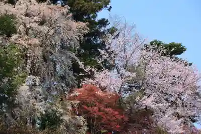 三春大神宮の景色