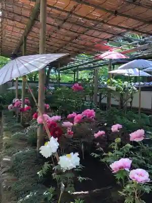 上野東照宮の周辺