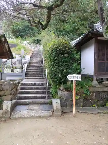 金蓮寺の建物その他