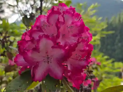 西光寺(奈良県)