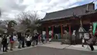 浅草神社の本殿・本堂