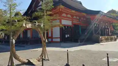 八坂神社(祇園さん)の本殿・本堂