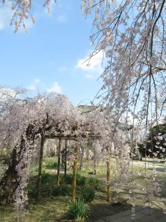 慶龍寺(茨城県)
