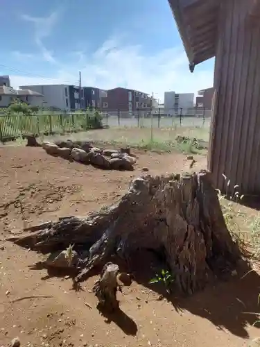 三柱神社(埼玉県)