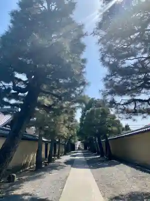 大徳寺(京都府)