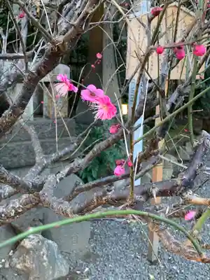 小野照崎神社(東京都)