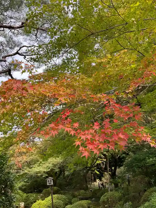 青蓮院門跡(京都府)