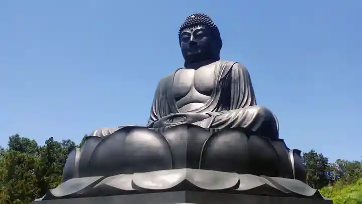 寳光寺 鹿野大佛の仏像