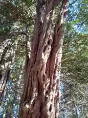 早池峰神社の自然