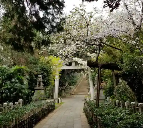 赤坂氷川神社の鳥居