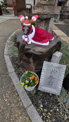 大松禅寺(京都府)