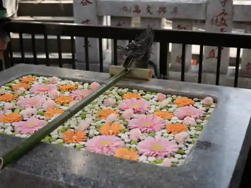 高円寺氷川神社(東京都)