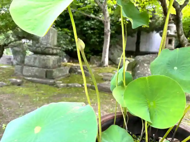 伊勢の国 四天王寺(三重県)