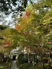 蓮華寺（洛北蓮華寺）(京都府)