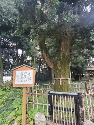 伊弉諾神社(埼玉県)