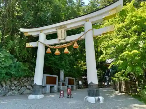 宝登山神社の鳥居