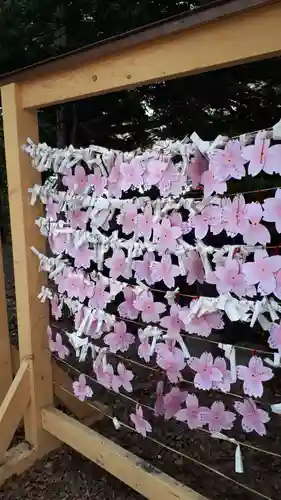 札幌諏訪神社のおみくじ