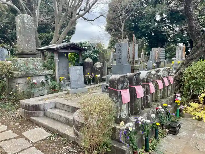 徳蔵院の{uncategorized: "未分類", other: "その他", undefined: "問題あり", building: "その他建物", grave: "お墓", sacred_gate: "鳥居", guardian: "狛犬", statue: "像", buddha: "仏像", history: "歴史", nature: "自然", garden: "庭園", animal: "動物", pagoda: "塔", temizu: "手水舎", mountain_gate: "山門・神門", sanctuary: "本殿・本堂", subordinate: "末社・摂社", art: "芸術", scenery: "景色", jizo: "地蔵", ema: "絵馬", goshuin: "御朱印", omikuji: "おみくじ", items: "授与品その他", amulet: "お守り", goshuincho: "御朱印帳", eats: "食事", festival: "お祭り", votive_dance: "神楽", shichigosan: "七五三参", wedding: "結婚式", experience: "体験その他", initially: "初詣", around: "周辺", anti_infection: "感染症対策"}