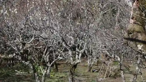 観心寺(大阪府)