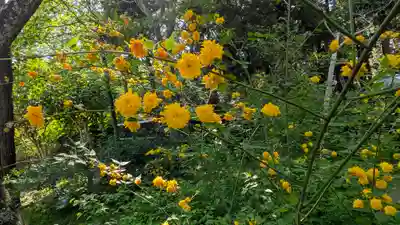 歌泉堂(春日大社神苑萬葉植物園内鎮座)(奈良県)