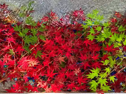 東海市熊野神社の手水舎