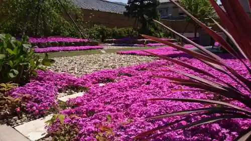 寿量山　速成寺の庭園