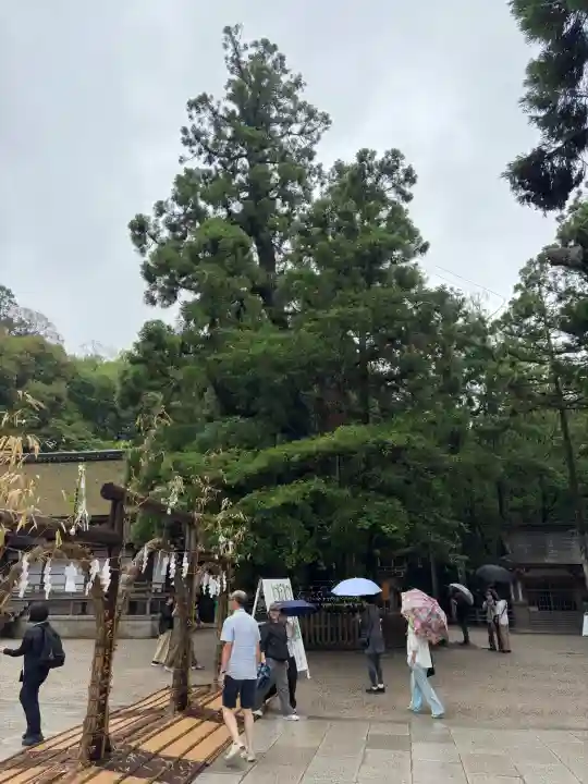 大神神社(奈良県)