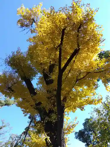熱田神宮(愛知県)
