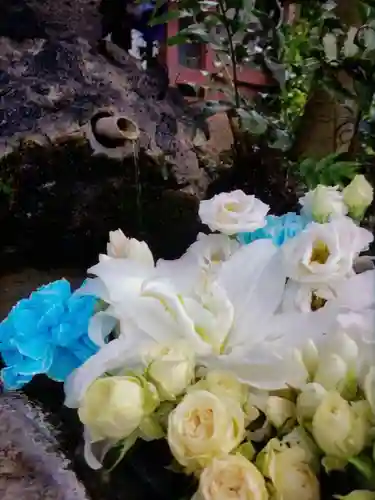 本郷氷川神社(東京都)