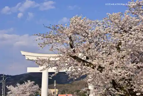 宝登山神社の景色